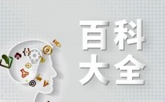 2006年启动“蓝